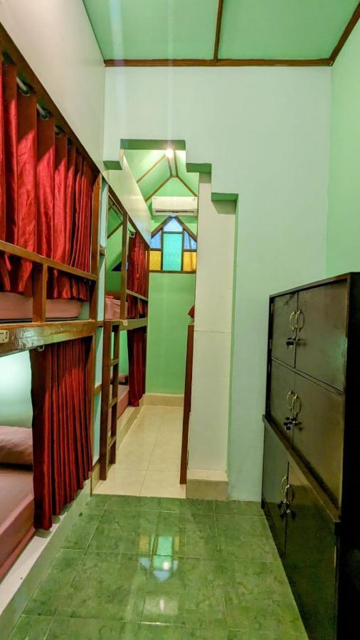 Sleepy Raccoon Hostel *