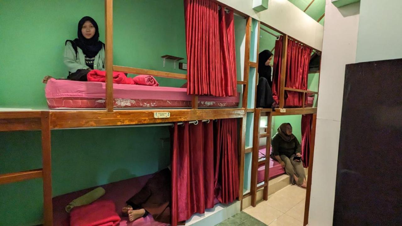 Sleepy Raccoon Hostel